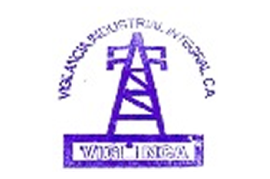 Cliente MeruSoft Viginca